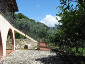 foto 013